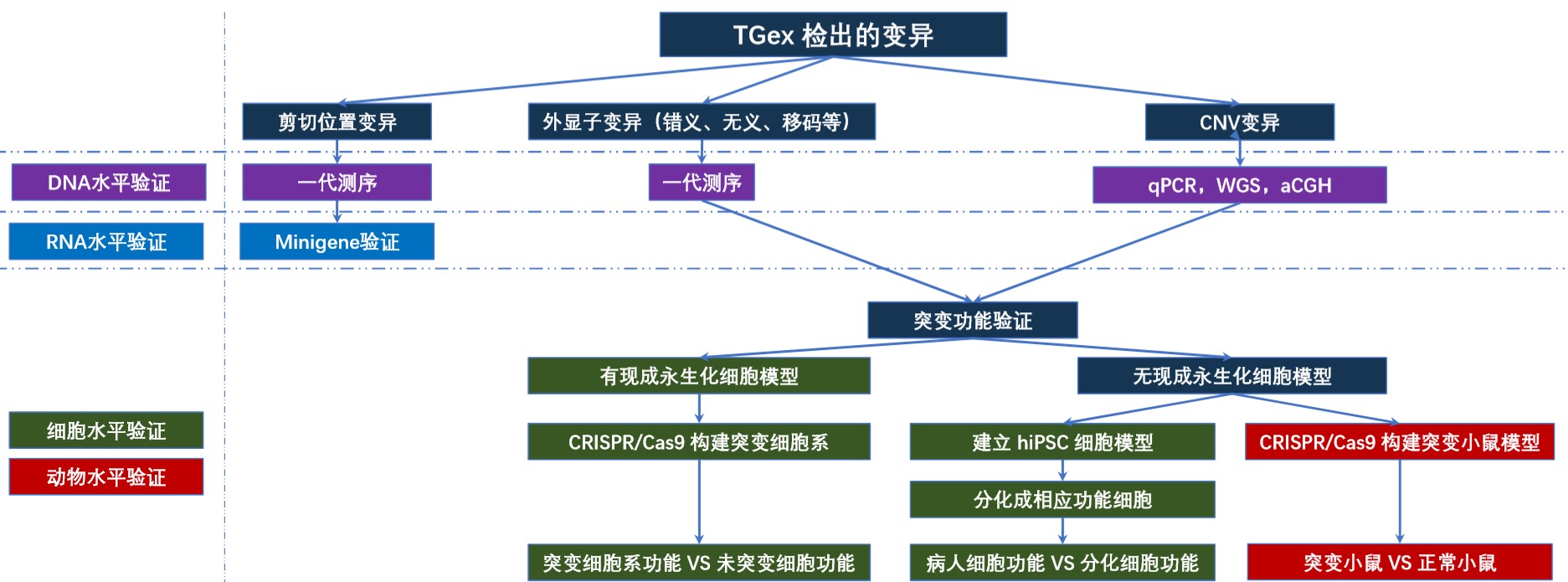 基因突變驗(yàn)證服務(wù)